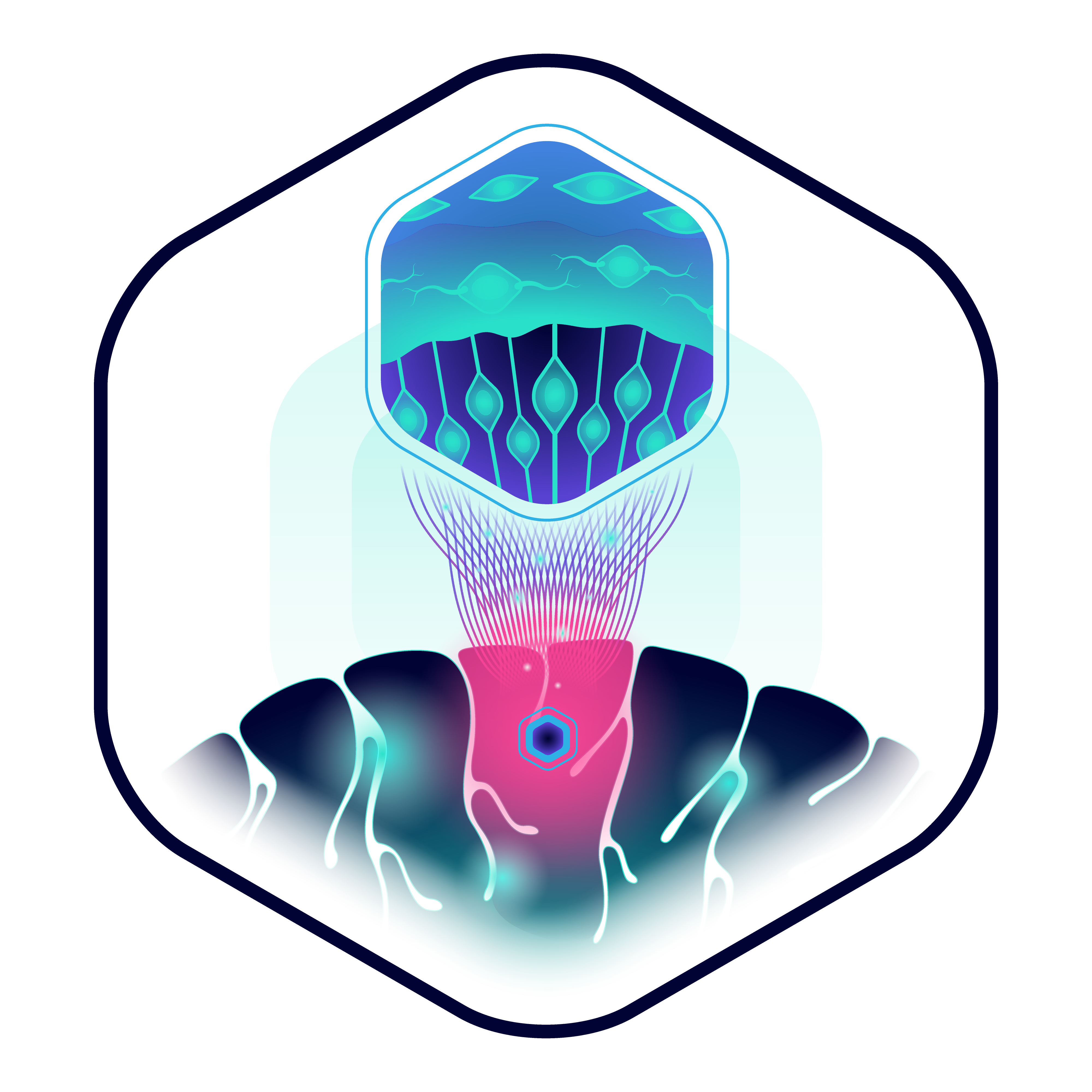FRONT_signatureimage-light-hexagon